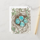 Suche nach vogeleier postkarten Vogelnest