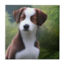 Suche nach brauner hund fliesen Welpe