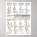 Suche nach alternative poster Massage