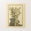 Suche nach korallenriff puzzle Meereswelt