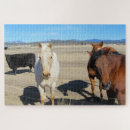 Suche nach kuh puzzle Landwirtschaftliche nutztiere