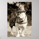 Suche nach lustige hüte poster Hund