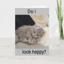 Suche nach unglücklich postkarten Katze