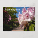 Suche nach alter wein postkarten Weinberg