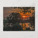 Suche nach august postkarten Bäume