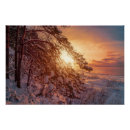 Suche nach kiefern poster Winter