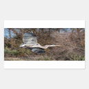 Suche nach heron aufkleber Ardea herodias