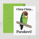 Suche nach parakeets postkarten Vogelvogel