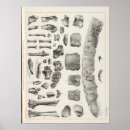 Suche nach lithographiert poster Mit