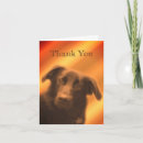 Suche nach hundegesicht postkarten Tier