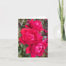 Suche nach garten rosen karten Botanisch