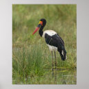 Suche nach fauna poster Natur
