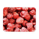 Suche nach himbeeren magnete Erdbeere