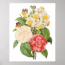 Suche nach botanische illustration poster Retro