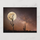 Suche nach saguaro postkarten Mond