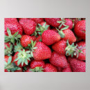Suche nach frische poster Ernte