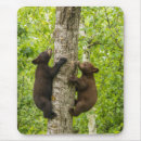 Suche nach bärenjunge mousepads Schwarzbär