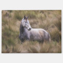Suche nach graues pferd magnete Stute