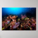 Suche nach underwater poster Sea life