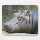 Suche nach nilpferde mousepads Tiere