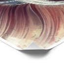 Suche nach blume des lebens poster Harmonie
