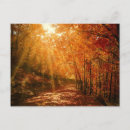 Suche nach orange herbst postkarten Fotografie