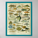 Suche nach aal poster Gelb