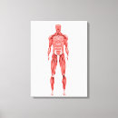 Suche nach anatomie leinwandbilder Dreidimensionale