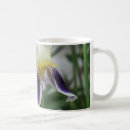 Suche nach iris blume tassen Fotografie