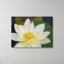 Suche nach lotus leinwandbilder Buddha
