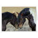 Suche nach equids Pferde