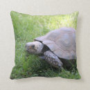 Suche nach wildlife kissen Foto