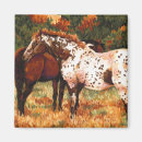 Suche nach pony magnete Reiter