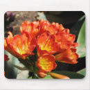 Suche nach exotische blumen mousepads Pflanzen