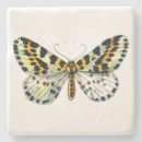 Suche nach raupe untersetzer Schmetterling