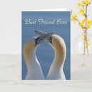 Suche nach bestie postkarten Fotografie