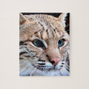 Suche nach graue katze puzzle Rätsel