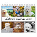 Suche nach kawaii kalender Tiere
