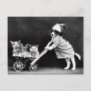 Suche nach vintage welpen postkarten Katze