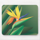 Suche nach paradiesvogel mousepads Blätter