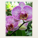 Suche nach orchidee planer Blume