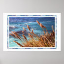 Suche nach monterey poster Ozean