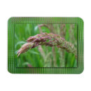 Suche nach tau magnete Sommer