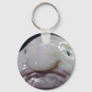 Suche nach hummer schlüsselanhänger Tiere