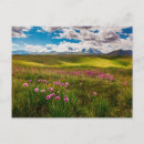 Suche nach sibirien postkarten Russland