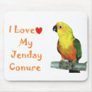 Suche nach conure Jenday