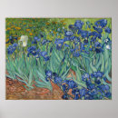Suche nach iris im poster Natur