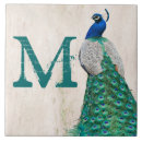 Suche nach peacock fliesen Dekorativ