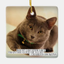 Suche nach kitesurfer ornamente Katze
