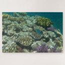 Suche nach great barrier reef puzzle Queensland
